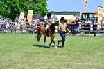 SBM_05833