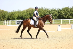 SBM_008191