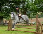 Dunblane show-623