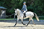 Cls 25 British Novice 90 Open portfolio