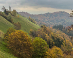 Slovenia iPhone - 132