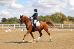 SBM_006223