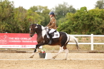 SBM_006751