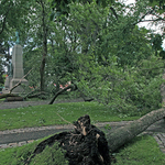Post-Tropical Storm Arthur - 11