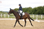 Class 2 - Novice 4 - 12.00-13.10 portfolio