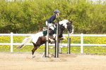 SBM_004454