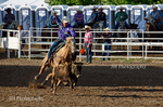 _DSC0378