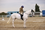 SBM_000524