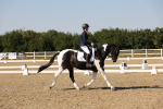SBM_006486