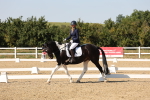 SBM_006491