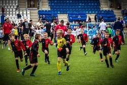 Grass Roots portfolio