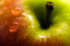 Apple - 7331