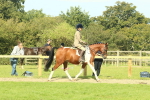 SBM_67401
