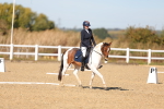 SBM_001562