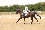 SBM_006341