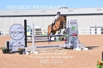BPP_1213