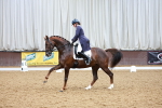 SBM_001913