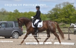 BPP_6319