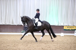 SBM_010105
