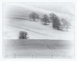 Monochrome portfolio