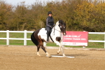 SBM_001697
