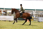 SBM_14673