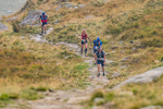 Peris Horseshoe-1101