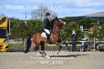 BPP_4399