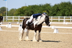 SBM_011848