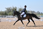 112-Ella.Fraser-Brouwershavenss.Viceroy portfolio