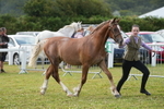 DSC04740