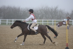 SBM_000956