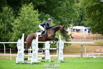 952-Anna.Johannson-Higher.Way.Skylark portfolio