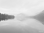 Still Water (1053)
