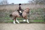 SBM_006091