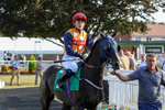 300824-Race 8-Seahorse Syd-0765