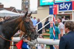 Race 7 5.30pm Sky Bet, For The Fans Mile Apprentice Handicap portfolio