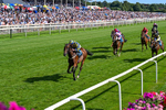 Race 5 16.20pm John Smith's Stayers' Handicap portfolio