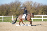 SBM_004181