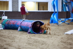 SBM_006532