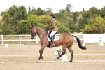 SBM_009803