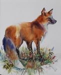 Outfoxed