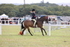 JPP_1597