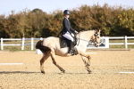 SBM_009096