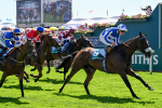 120725-Race 3-Fox Legacy-0251