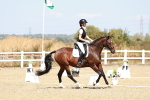 SBM_017484