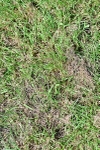 SBM_03351
