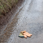 Lost glove #038