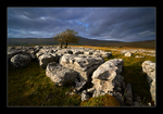 Autumnal Dales