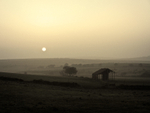 Evening Haze